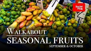 Walkabout - Seasonal Fruits in Fiji - September & October