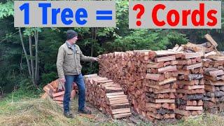 Finding Out How Much Firewood is in a Tree