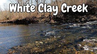 Exploring and Hiking at White Clay Creek Preserve