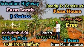 Srisailam Highway l #farmlands l Farm House కట్టుకోవచ్చు l 3 గుంటలు ఫాం Land For Sale l 8919067120