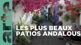 Cordoue et ses patios fleuris | GEO Reportage | ARTE Family