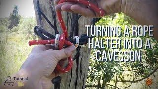 Turning a Rope Halter into a Cavesson (Horsesmith™️ Hack Tutorial)