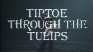 Play for Today - Tiptoe through the Tulips by Beryl Bainbridge & Claude Whatham