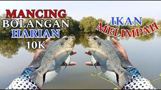 MANCING BAHAGIA..!! Mancing di Spot Bolangan Harian Murah Meriah Ikan Melimpah