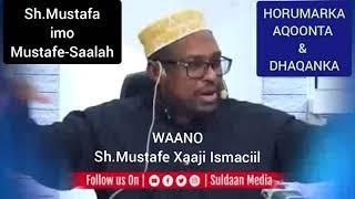 AQOONTA SARE & DHAQANKA (Sh.Mustafe iyo Mustafe-Saalax)