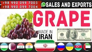 Iranian grapes: Buy Iranian grapes for export to all parts of the world