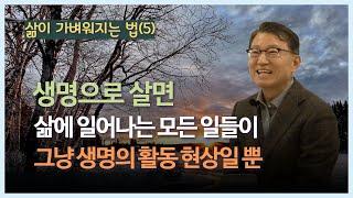 [김쌤의 정견특강]  #127 . 삶이 가벼워지는 법(5).생명으로 살면 삶에 일어나는 모든 일들이 그냥 생명의 활동 현상일 뿐