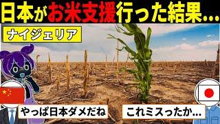 ナイジェリア人「日本の農業支援は最悪…」3年後、衝撃の事実を知り超親日国になった理由　【海外の反応】【ずんだもん×ゆっくり解説】