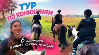 Конные прогулки и ТУР ПО КОНЮШНЯМ: ищу идеальный постой / 2 часть