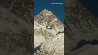 The Tallest Mountain on Earth?