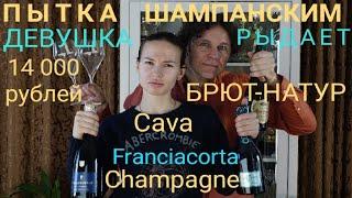 Дорогое шампанское брют натюр. Шампань. Кава. Франчакорта. Champagne Philipponnat. Franciacorta.Cava