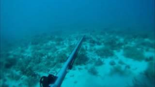 chasse sous marine en nouvelle caledonie bec de canne avec l'apache