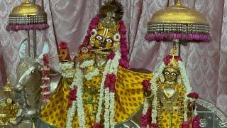 Shri Govind Dev Ji ki Gwal Jhanki श्री गोविन्द देव जी की ग्वाल आरती #23_June_2025 #monday #new #love