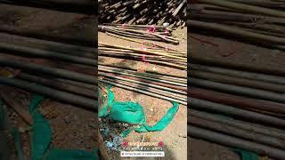 Parel Workshop 2024 | Kalagandh Arts Siddhesh Dighole Workshop 2024