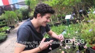 Hello Hello Plants and Garden Supplies in Campbellfield VIC offering Gardeners Supply and Design