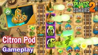 Pvz 2 v.11.8.1 - New Fusion Plants Citron Pod Gameplay in Plants vs Zombies 2