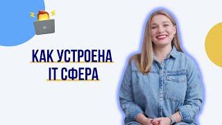 Как устроена IT сфера? Самые распространенные профессии в IT.