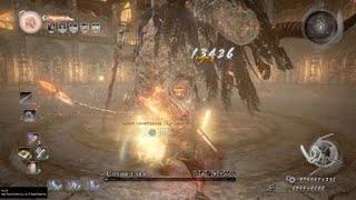 Nioh финал на макс сложности