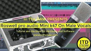 Roswell Pro audio Mini K47 on male vocals