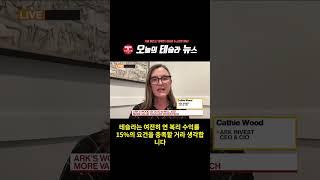 테슬라 주가 $2,000 달러 간다! 이유는?