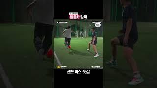 밟을까 말까 
