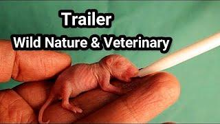 Trailer - Wild Nature & Veterinary | wildlife, exotic veterinarian, nature sounds, animals & insects