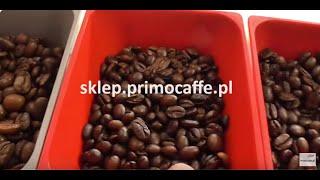 Szukamy smaku kawy w ekspresie automatycznym cz101 od sklep.primocaffe.pl