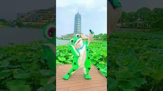 蛙爸自拍