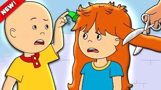 Rosie's Haircut | Caillou Cartoon