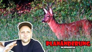 PLANÄNDERUNG im Einhorntal; es geht in den Bestand  / RevierLeben // Vlog 64