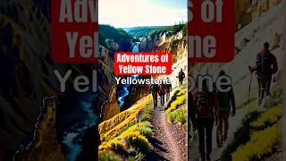 What adventures Yellow Stone National Park offers? #usa #travel #yellow #shorts