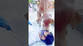 Hu Ru Ru#trending #shorts #shortvideo #youtubeshorts