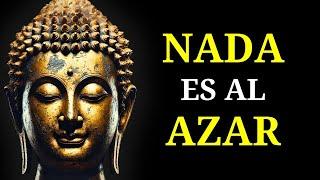 (SIN ANUNCIOS) Duerme Con Las Mejores Lecciones De Budismo Sobre Por Qué Todo Sucede Por Una Razón