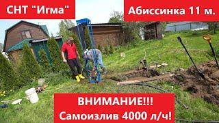 Самоизлив 4 тонны! Абиссинка 11 м. СНТ "Игма".