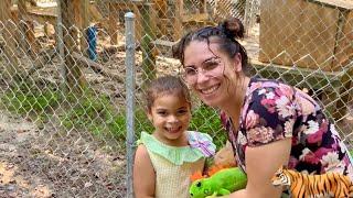  Took my Family to the Zoo (POWERFUL LIONS ROAR)