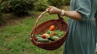 Seedtime and Harvest by Christie Purifoy