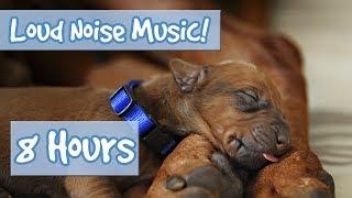 MUSIC FOR DOGS! Soothing Music for Anxious Dogs, Perfect for July 4th Fireworks and Loud Noises 