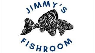 Jack Wattley Discus | Unboxing Discus | Jimmy’s Fishroom