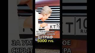 Онлайн обучение в автошколе через мобильное приложение Рули Онлайн в App Store / Play market #пдд