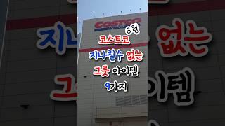 코스트코 지나칠 수 없는 그릇 아이템 9가지!! 6월 신상-!