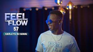 DJ FESTA - FEEL THE FLOW 57 | Harleys in Hawai