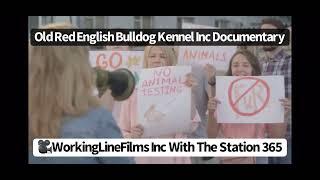 Old Red English Bulldog Kennel INC Documentary The Alleged Story Of The O.R.K.C / O.R.E.B.A Registry