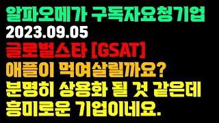 애플이 먹여 살릴 것 같다 - 글로벌스타 [GSAT] 기업소개