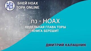 Недельная глава Торы - Парашат а-шавуа - "Ноах" 5784/2024 - Дмитрий Калашник