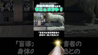 【モニュメントが気になる‼】久屋大通公園にあるモニュメント＃名古屋観光＃久屋大通公園#名古屋