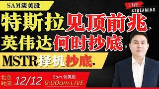 特斯拉见顶前兆？英伟达何时抄底？MSTR择机抄底？【美股直通车】2024.12.12 #sam谈美股 #美股分析 #tsla #nvda #特斯拉 #英伟达