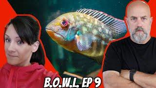 These Fish Are Not What You Think, A Special Guest and a GIVEAWAY! B.O.W.L. Ep. 9