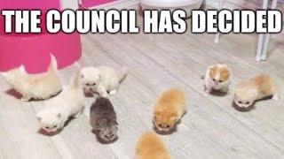 THE COUNCIL HAS DECIDED