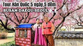 Du lịch Hàn Quốc| Tour 5 ngày 5 đêm - Đi đâu + Làm gì | Du lịch Busan - Daegu - Seoul