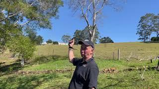 DIY Tree Lopping in the Garden or on the Farm